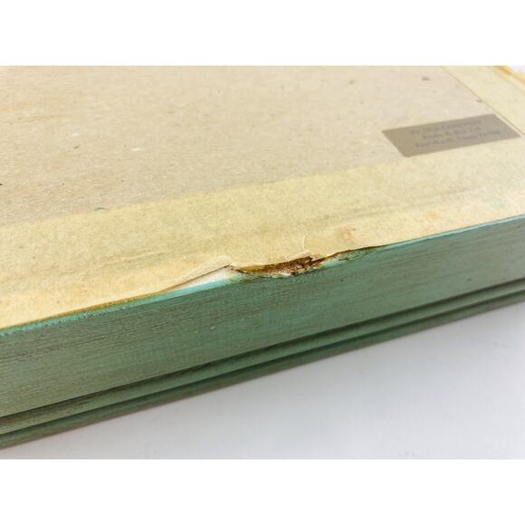 JAPANESE BUTTERFLY PAPILIO XUTHUS FRAMED DRIED TEXAS YELLOW ROSE Flower Framed - Picture 13 of 16